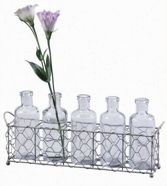 Glass Bottles And Wire Tray Set - 12.75x2.5, Silver/clea
