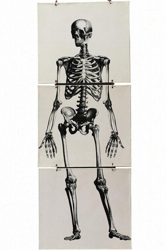 Martha Stewart Living Small Metal Skeleton Banner - 21"&qupt;hx8""wx0.25""d, Black An D White