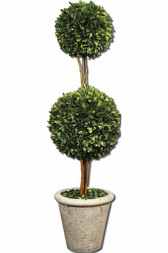 Preservrd Boxwood Tw-sphere Topiary -  36""hx10""diameter, Mossy Stone