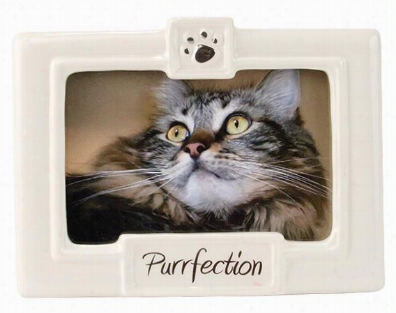 Purrfec Tion Ceramic Picture Frame  5.25""hx6.75""wx1, Wite