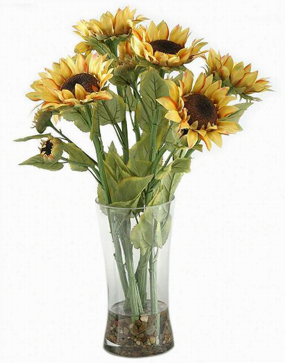 Sunflower Delgiht - 26""hx19""diameter, Glass