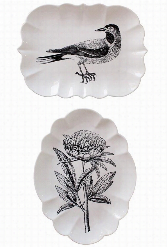 Bird And Flower Plates - Set Of  - Set Of 2, White