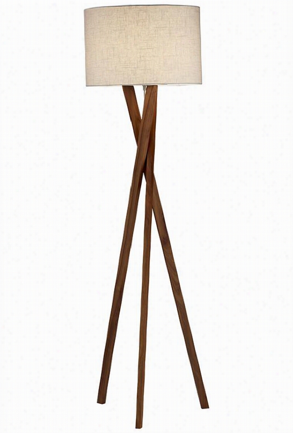 Brooklyn Floor Lamp - 63&quo;t"hx20""diameter, Brown Wood