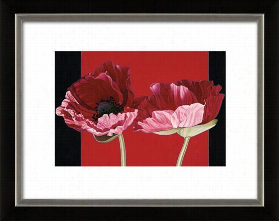 Poppies Framed Wall Art - 27&qu Ot;"hx33""w, Matted Black/silevr