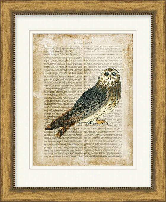 Antiquarian Owl Wall Art - 50""hx40""wx5.5"" D, Aged Gold Polishing