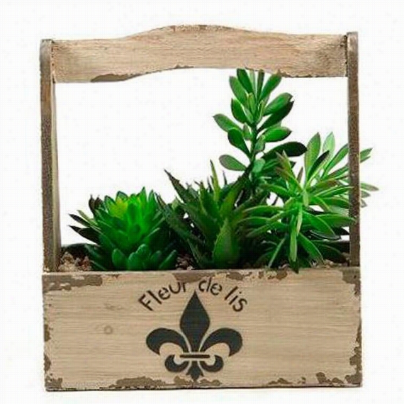 Mixed Succulents In Fleuur De Lis Planter - 11.5&qut;&quit;hx11""wxx4""d, Ivory