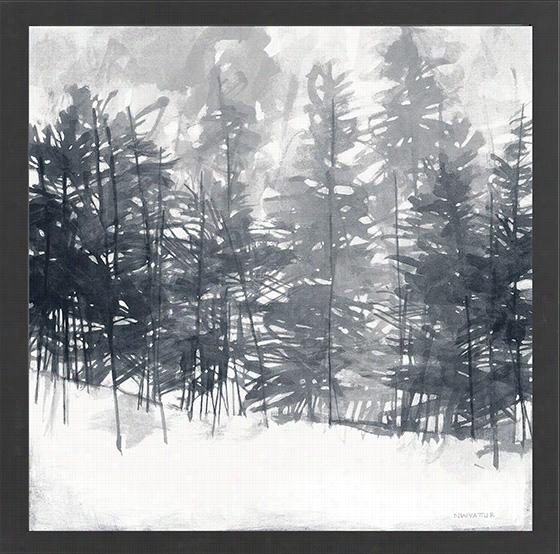 Winter Pines Canvas Wall Art -  30""squarex1.5&qu0t;"d, Norman Wyatt Jr