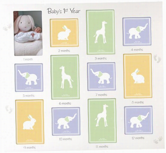 Baby's First Year Piicture Framme - 18.75""hx20.25""w, Multi