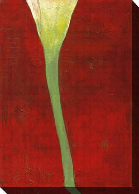 Calla Lily In C~tinuance Deep Red Ii Canvas Wall Art - Ii, Red