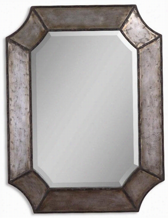 Cologne Mirror - 32""hx24""wx2""d, Bronze