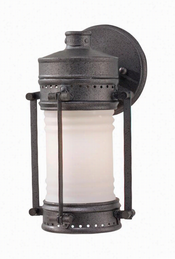 Dokkyard 1-light All-weather Outdoor Patio Wall Sconce - Small, Distressed Silver