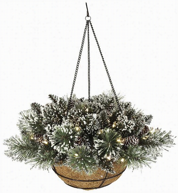 Glittery Bristle Pine Hanging Basket - 20" ;"hx20&quott;"diameter, Glittery Bristle