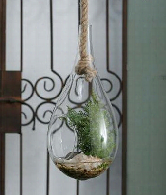 Lacy Fern Terrarium - 13""hx6.25""diame, Clear/green