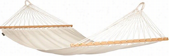 Modesta Ecru Single Person Hammock With Tribunal  130""l X 43 &q Ut;"w, Wood