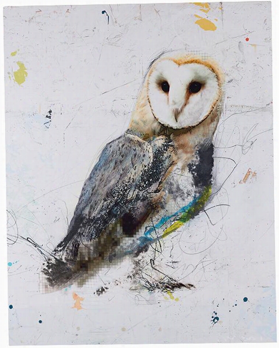 Owl Wall Art - 38"&"hx30""wx2""d,emma Brooks