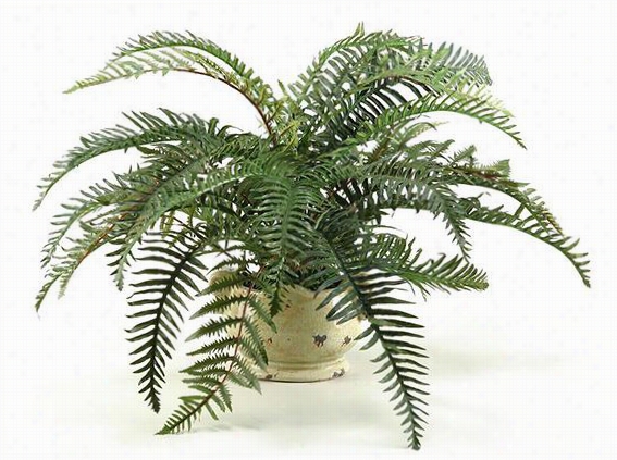 River Fern In Ceramic Planter - 11""hx30"&quo;d, Green