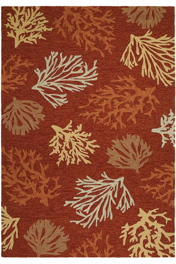 Tropical Reef Area Rug - 3'6"q&uot;x5'6&qjot;" ;, Coral