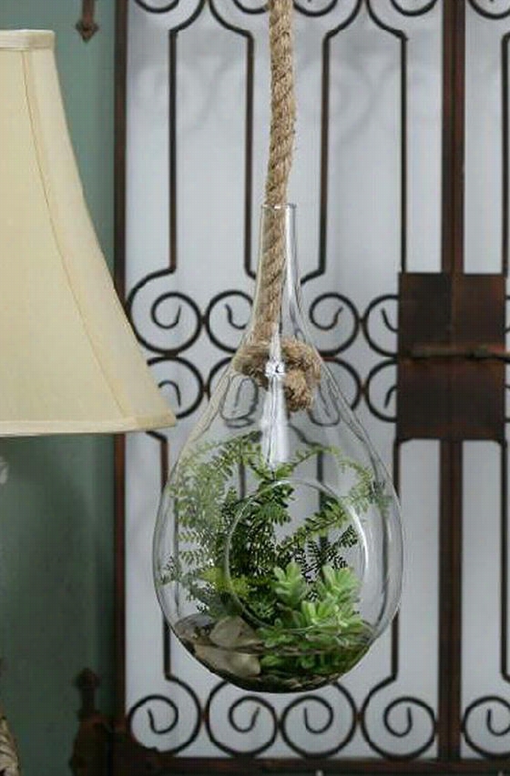 Fern Terrarium - 16""hx8""iameter, Clear/green