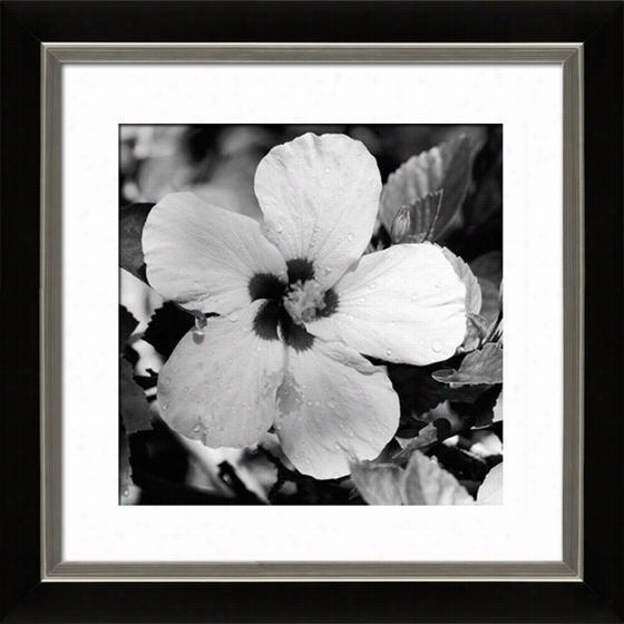 Glory Framed Wall Creation Of Beauty - 29"&qquot;hx29"&qu Ot;w, Matted Blck/silver