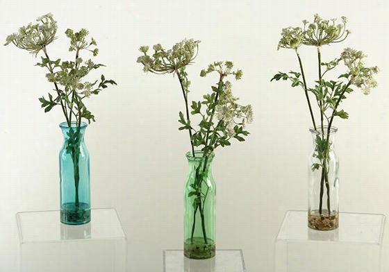 Queen Anne's Lace - Group Of 3 - Set Of 3, Clear