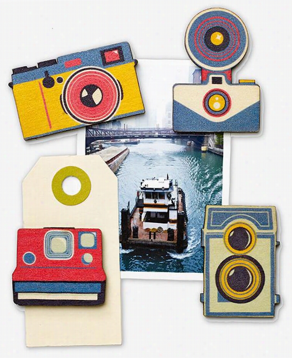 Shutterbug Magnet - Set Of 4 -  Set/4, Assorted