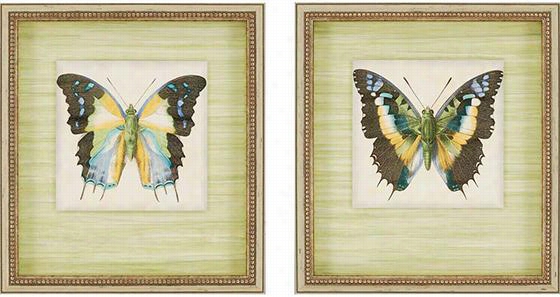 Buttercly I Wall Art - Set Of 2 - Set Of 2, Jennifer Goldberger