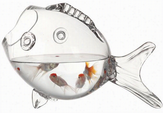 Fish Ocntainer - 9h X 14.5w X 7d, Clear