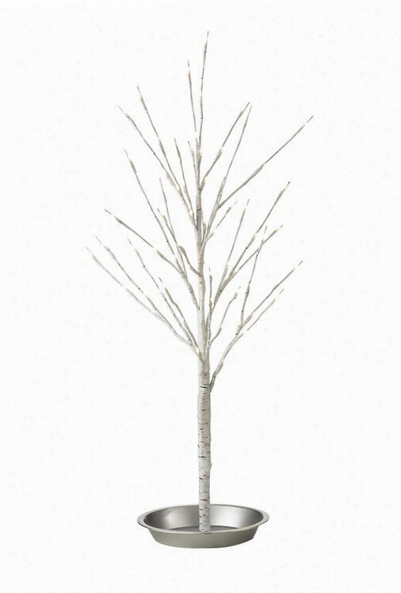 Martha Stewart Living Atbletop B Irch Tree - 3', Crea M