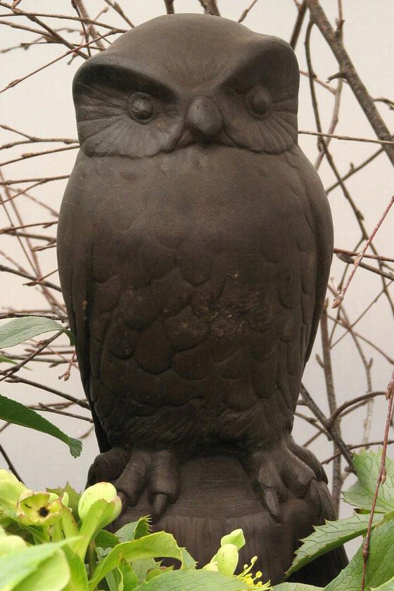 Owl Statue - 12hx6wx5d, Brown Forest