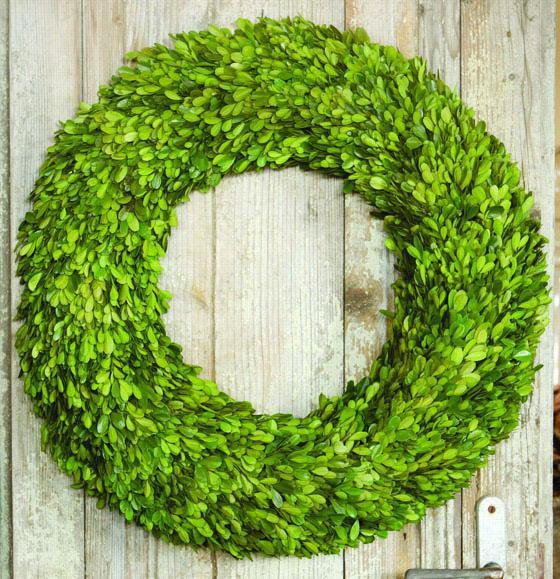 Preserved Boxwood Wreaths - 24"" Diameter, Green