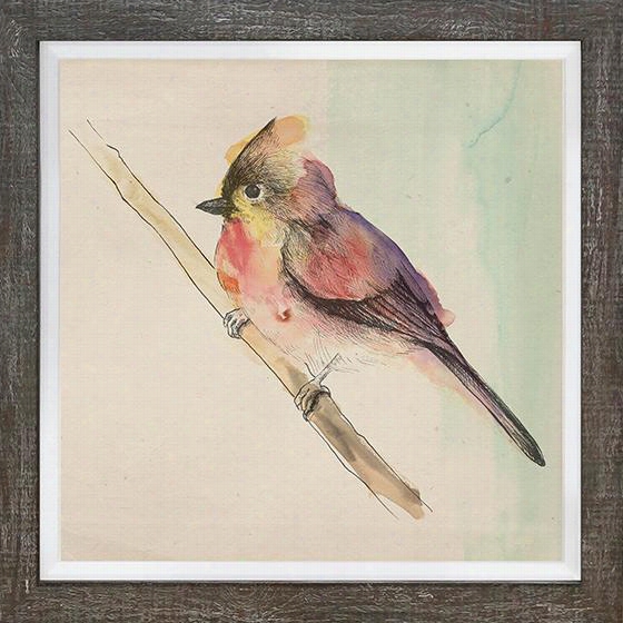 Pretty Little Bird Framed Wall Art - Pretty Little Bb, Michelle Bennett