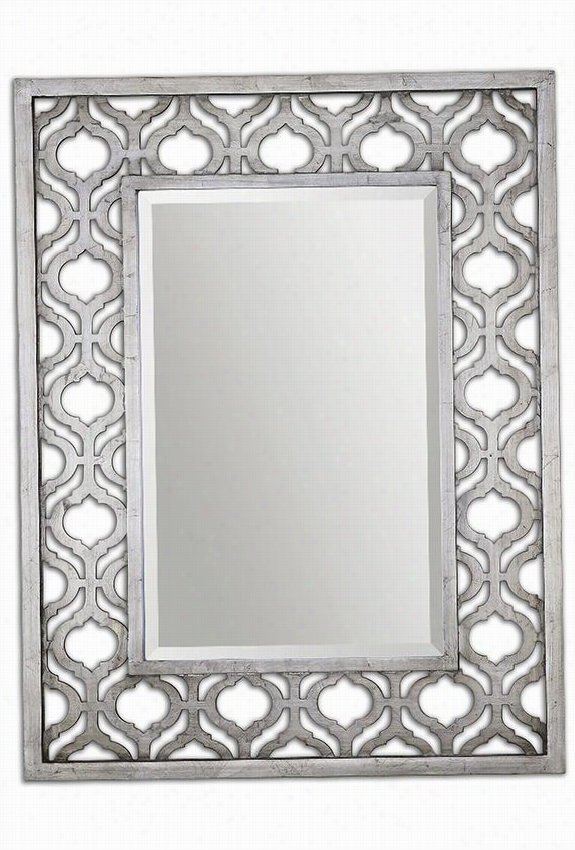 Srobolo Mirror  - 40""hx31""wx2""d, Silver