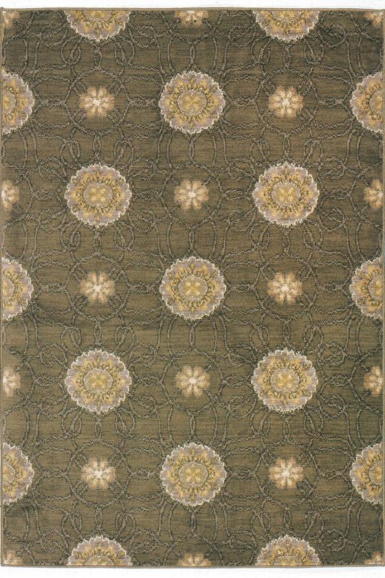 Stella Ii Area Rug - 1'11""x7'6&qut;", Brown