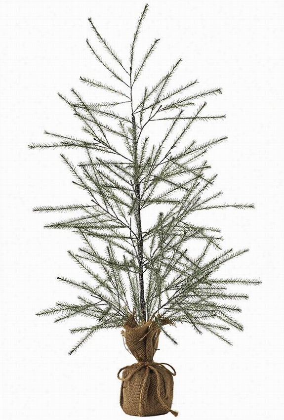 Tabletop Fir Tree - 2""h, Green