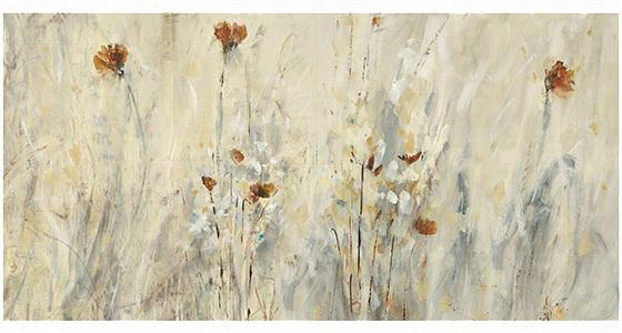 Wistful Poppies Wall Art - 24""hx48""wx"&quuot;d, Jodi Maqs