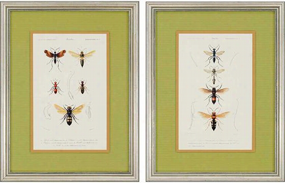 Bees Wall Art - Set Of 2 - Set Of 2, Olivia Blanchard