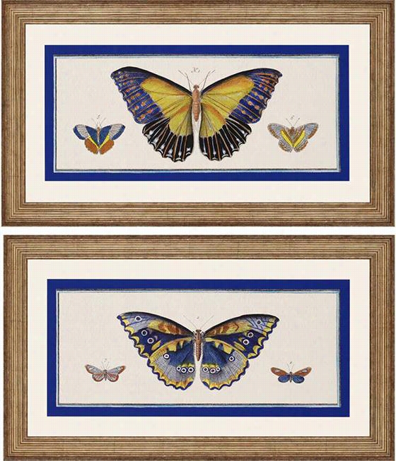 Bleu Papillon I Wall Art - Set Of 2 - Set Of ,2 Tim Burney