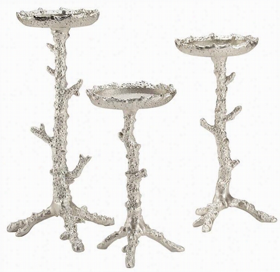 Coral Pillar Candle Holders - Set Of 3 - S Et Of Three, Whitewashed