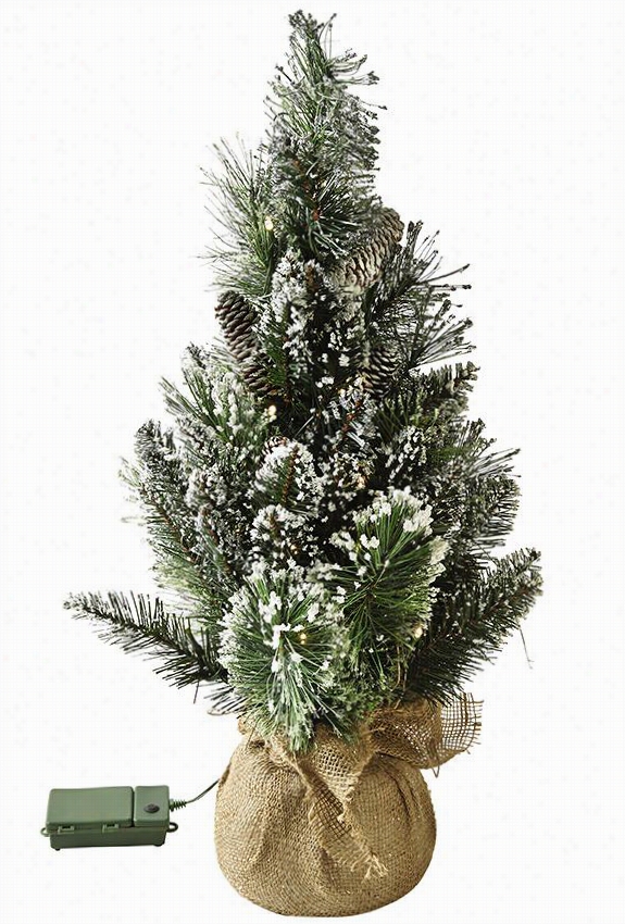 Glittery Bristle Smaall Pine Tree - 24"&"hx17""diameter, Glittery Point With A ~