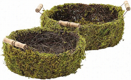 Moss Baskets - Set Of 2 - Set Of Pair, Forest Green