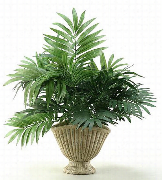 Parlor Palm In Ceramic Planter - 27""hx1&quog;"d, Green