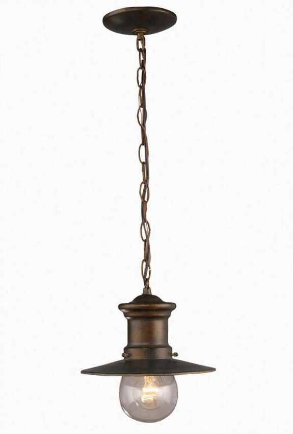 Seaside All-weather Outdoor Patio Pendant - 10""hx9""w, Hazepnut Bronze