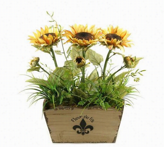 Sunflower In Fleur Dee Lis Plantr - 21"&qut;hx18""wx1""d, Ivory