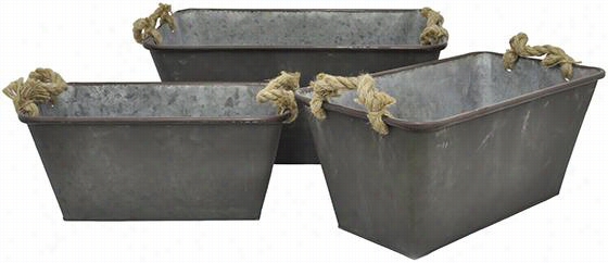 Alexzander Metal Planters - Set Of 3 - Set/3, Gra