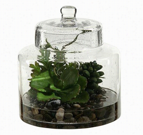 Butterfly Succuleent And Sedum In Glass Jar - 10""hx8""wx8""d, Green