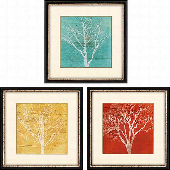 Fallen Leaves Wall Art - Set Of 3 - 19&quuot;&quo;thx91&quott;"w2""d, Stephanie Fontaine