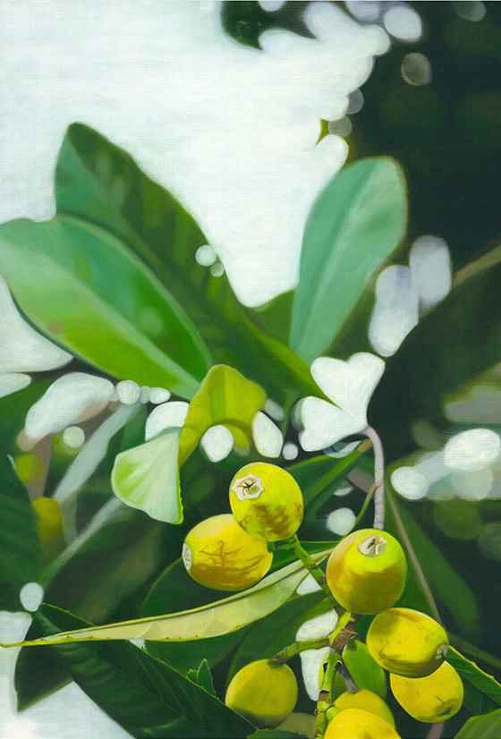 Loquats Ac Rylic Wall Art - 40""hx27""wx2""d, Stellla Alesi