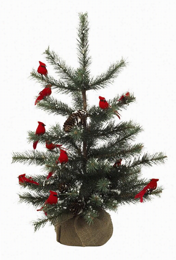 Martha Stewart Living Cardinal Snow Pine Mini Tree - Sm All, Olive Green