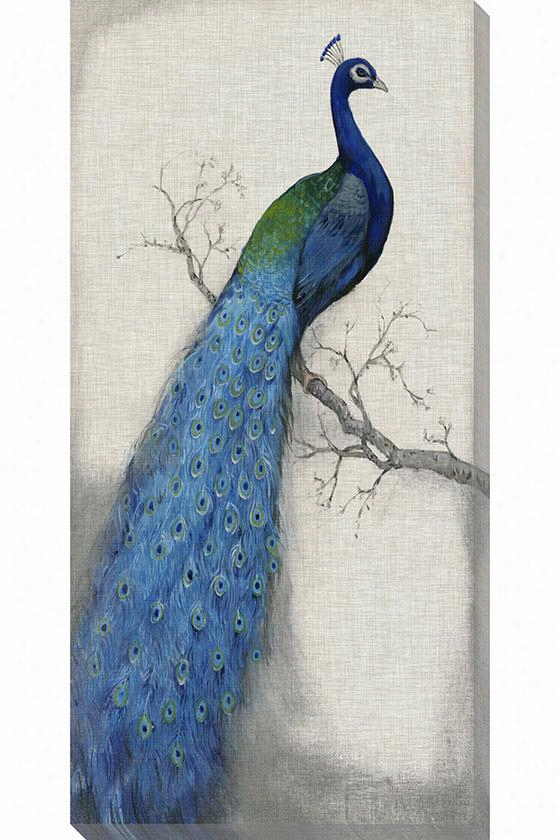 Peacock Blue Wall Creation Of Beauty - 36""hx18""wx1.5&suot;"d, World Art Group