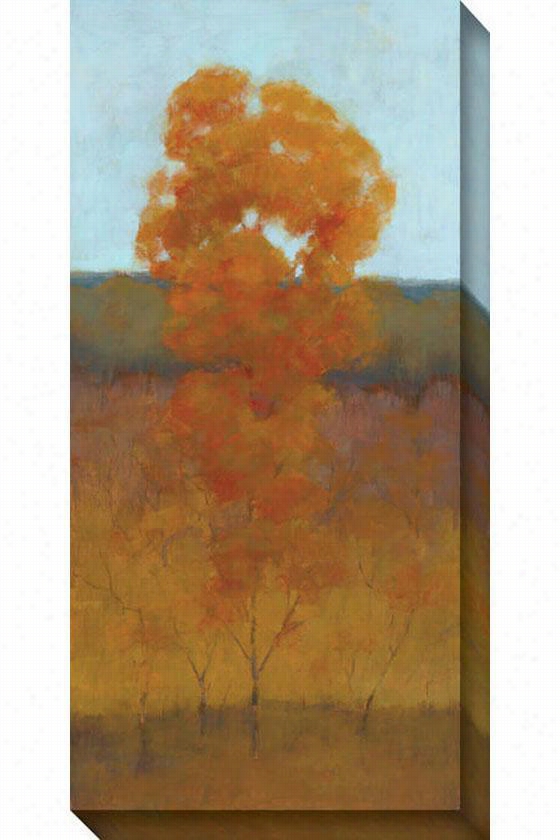 Solitary Tree Iii Canvas Wll Cunning - Iii, Orange